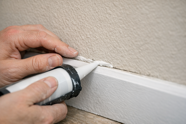 Sealing entry points to prevent pests